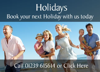 Holiday Bookings