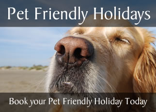 Pet Friendly Holidays